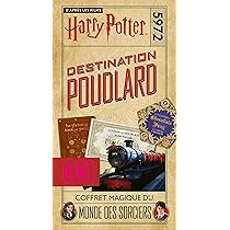 Harry Potter Baguette S MAGIQUES COFFRET MAGIQUE DU MONDE DES SORCIER Baguette Harry Potter Lance Boule De Feu