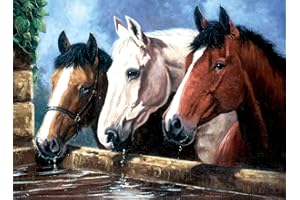 PRACHT CREATIVES HOBBY Malowanie po numerach - Junior "konie do picia", obrazek DIY z 7 farbami akrylowymi, pędzlami i zadrukowanym kartonem do malowania, dla dzieci od 8 lat
