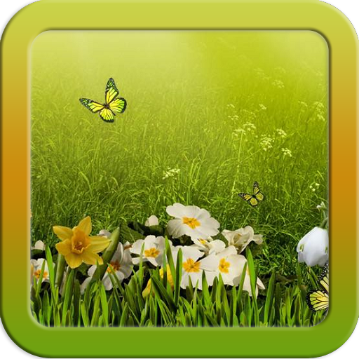 Beautiful Yellow Butterfly Keyboard Theme Free Themes Backgrounds Wallpapers Icons Decor Customization