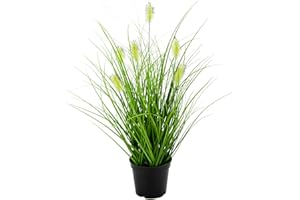 ‎FLAIR FLOWER Künstliches Fuchsschwanzgras im Topf Gras Kunstpflanze Kunstgras Ziergras Grünpflanzen Dekogras Grasbüschel Ziergras Solitärgras Deko Grasarrangement Borstenhirse Panicoideae Süßgräser Setaria