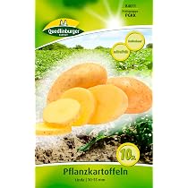 Quedlinburger 84011 Kartoffel Linda (10 Stck) (Pflanzkartoffeln) :  Amazon.de: Garten
