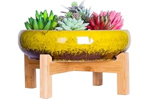 ARTKETTY Doniczka na sukulenty, duża doniczka bonsai ze stojakiem, płytka doniczka na rośliny kaktusowe z ekranem drenażowym, 25,4 cm ceramiczna miska na rośliny do użytku wewnątrz i na zewnątrz