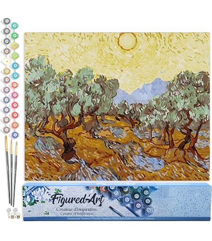 Kit per dipingere con i numeri Notte stellata sul Rodano di Van Gogh - 48 pezzi - Italia