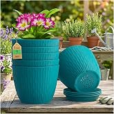 Eightiz (Pack of 5 6 Inch Plastic Flower Pots for Indoor & Outdoor Terrace,Garden Plants Decorative Planters with Drainage Ho