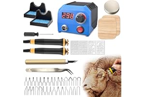 FIRElood LH55-1 Holzverbrennungsset, Brandmalerei-Holzverbrennungswerkzeug-Set mit Brandmalerei-Maschine, 30 Drahtspitzen, 2 Holzverbrennungsstifte, einstellbare Temperatur 250–700 ℃