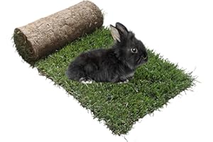 Ricarica S Coniglio PetZolla - Lettiera coniglio in vero prato naturale e atossico, Ricambio facile da sostituire per il Kit coniglio S, Tappetino per conigli da interno dura fino a 5 mesi