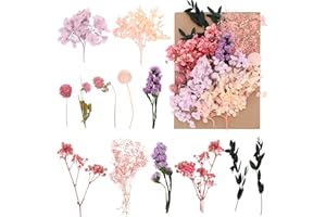 Halinuia Getrocknete Blumen, Natürliche Trockenblumen Deko zum Basteln, Dried Flowers für DIY, Kerze, Handwerk, Scrapbooking, Bilderrahmen Dekoration (Violett/Rosa)