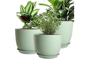 MUAEEOK Plant Pots 25/23/20 cm, Set of 3 Modern Decorative Plastic Planters with Drainage Holes and Saucers Plastic Flower Pots Nursery Planting Pot for House Plants Indoor Flowers Plants (Green)