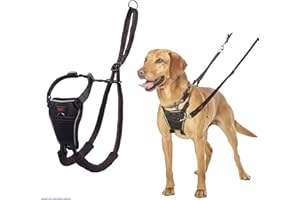 COMPANY OF ANIMALS HALTI No Pull Anti-Zug Geschirr - Verhindert, dass Ihr Hund an der Leine zieht, Gepolsterter Brust- und Beingurt, Reflektierendes Gurtmaterial, Einfache Anpassung und Benutzung (Größe M)
