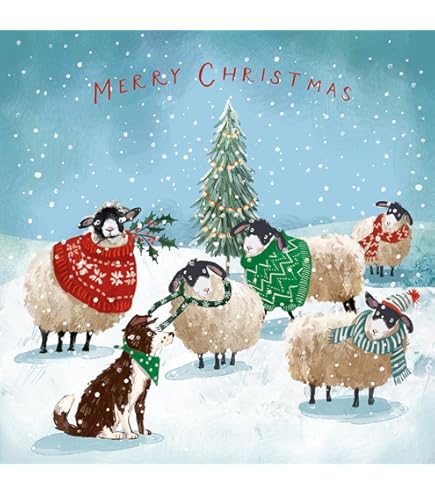 Marie Curie Frosted River Lot De 12 Cartes De Noël De Luxe