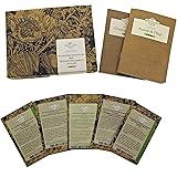 Die schärfsten Chilisorten der Welt - Samen-Geschenkset mit 5 echt heißen Sorten