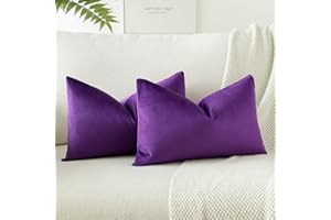 JOTOM Lot de 2 Housses de Coussins en Velours Décoratif Canapé Taie d'oreiller Doux Decoration pour Maison Salon Chambre Canapé Décoration 30x50cm (Pourpre)