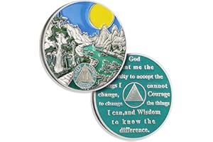 ATSKNSK 6 Years Sobriety Coin Sun Chips Alcoholics Anonymous Medallion AA Chips and Medallion Sobriety Gifts for Men Women Recovery Gift Anniversary Token Forest River Tree Coin