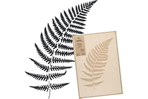 ‎NAKLEO NAKLEO Große Malschablonen 43x64 cm, Farn Blatt Wedel Zweig Muster, Wiederverwendbare Kunststoff Wandschablone, Dekoration DIY Handwerk, Holz Wand Stoff Stein