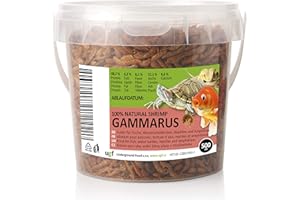 UGF UNDERGROUND FOOD UGF - Crevettes d'eau Douce Premium Gammarus séchées, Seau de 500 millilitres ≈ 50g