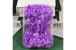 APICORT Gypsophila Dried 15 cm Dried Flowers for Crafts, Pack of 12 Dried Flowers, Purple Baby's Breath Dried Flowers, Decoration, Real Nature, for DIY, Wedding Decoration, Hair Accessories, Home Decor
