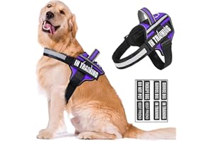 WENDISI Reflective Dog Harness, Anti-Slip No Pull Dog Vest Harness with 8Pcs Dog Patches, Adjustable In Training Service Pet Harness for All Breeds, 3 Ring No-Choke Pet Oxford Vest for Small Medium Large Dogs