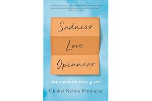 Sadness, Love, Openness: The Buddhist Path of Joy