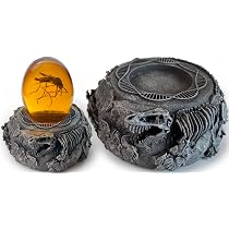 Jurassic Base Decor | Themen-Briefbeschwerer | Harzständer für Dinosaurier-Sammlerstücke | Detaillierte Skelette, DNA-Motiv & mehr | Basis für Mücken in Bernstein und Fossil Sammlerstücke |_AB