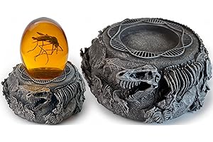 VEOJEIN Jurassic Base Decor | Themen-Briefbeschwerer | Harzständer für Dinosaurier-Sammlerstücke | Detaillierte Skelette, DNA-Motiv & mehr | Basis für Mücken in Bernstein und Fossil Sammlerstücke |