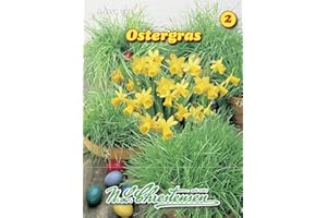 N.L. CHRESTENSEN Chrestensen Ostergras für ca. 25 Schalen Samen Gras Saatmischung
