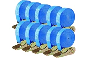 TLGREEN Confezione da 10 cinghie di ancoraggio con cricchetto, lunghezza 6 m, cinghie a cricchetto da 25 mm, set di cinghie di ancoraggio robuste, portata 800 kg, per il fissaggio del carico (blu)
