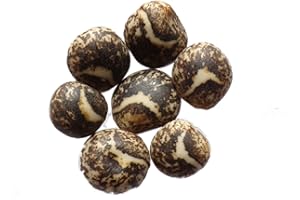 LA LETTRE S SHOP Lupin Jaune Doux NT - 15 grammes - Lupinus Luteus - Yellow Lupin - (Engrais vert) - SEM03