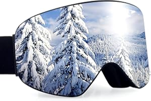 Dizokizo Ski Goggles Cylindrical Lens for Skiing Snowboard Anti-fog UV Protection Triple Breathable Foams Embossed Strap Universally Fit for Women Men