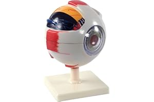 CRANSTEIN SCIENTIFIC Cranstein A-418 - Ojos (aumento 6x)