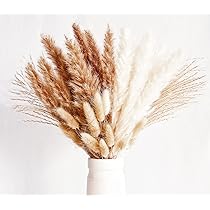 Erba Della Pampas Finta Rossa - 20 Steli Decorativi 43cm - Foto 6