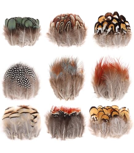 Lot De 70 Plumes Colorées Naturelles – Paon, Autruche, Dinde – Pour DIY, Déco, Costumes, Attrape-rêves