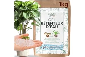 VIRHEA Granulés Gel Rétenteur d’Eau pour Plantes | Arrosage Automatique Pendant Les Vacances | Intérieur et extérieur | E-Book Offert | Sachet de 1kg | Convient pour 1200 litres de terreau
