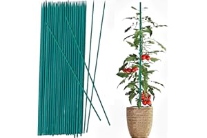 JIAMIAN 50 Pilas De Jardín, Soportes Vegetales, Pilas Vegetales Verdes, Palos De Soportes Vegetales, Adecuados para Apoyar Frutas y Verduras En Interiores y Exteriores