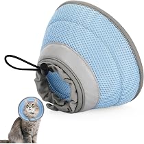 Collier élisabéthain Pour Chat – Anti-léchage – Taille M Violet – Doux, Ajustable, Ne Gêne Pas La Vue Ou La Mobilité