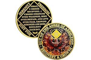 ACGZQY Na Medallion - 4 años Phoenix Na Sobriety Chip renacido de Fire Na Medallions Sober Coin Narcóticos Anónimo de recuperación anónima Token Na Regalos