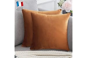 Douceur De Plumes Lot de 2 Housse de Coussin Rouille Clair Velours 45x45 cm Uni, Taie d'oreiller Brique Caramel Ambre Carré Doux et Design pour Salon Scandinave, Canapé Chambre (2 Rouille Clair)