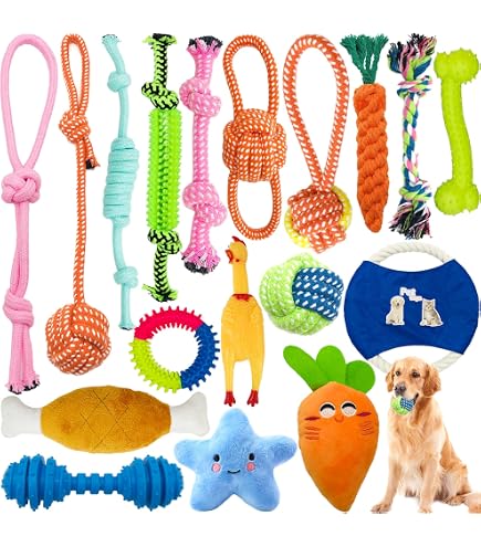 Maisitoo Hondenspeelgoed – 19-delige Set – Kauw- En Interactief Speelgoed – Voor Kleine En Middelgrote Honden – Nylon, Rubber, Katoen – Ideaal Voor Training En Tandverzorging