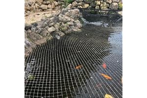 AQUAONE Filet de protection pour 6 m x 4,2 dimensions : teichschutz héron cendré-arbres de protection