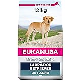 Eukanuba Breed Specific Alimento Secco per Labrador Retriever Adulti, Cibo per Cani Adattato in Modo Ottimale alla Razza 12 k