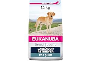 Eukanuba Breed Specific Alimento Secco per Labrador Retriever Adulti, Cibo per Cani Adattato in Modo Ottimale alla Razza 12 kg, la confezione può variare
