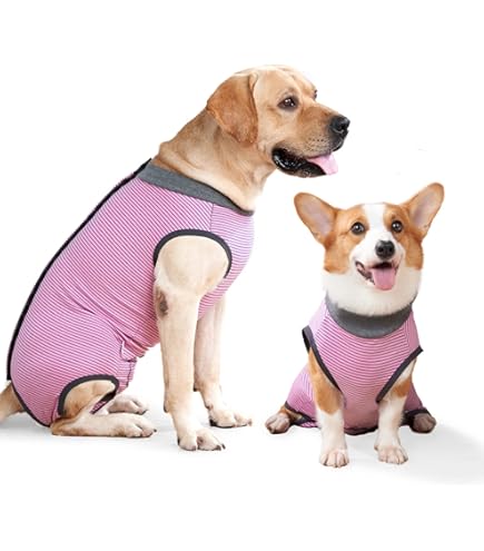 SlowTon Tuta Recupero Per Cani Post-Operatoria - Alternativa Al Collare Elisabetta, Con Cerniera, Unisex - Foto 8