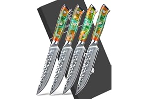 SANMUZUO 4 Pezzi Set Di Coltelli Da Bistecca Professionale - Forgiato 67 Strati Damasco in Acciaio e Resina Maniglia - Serie YAO