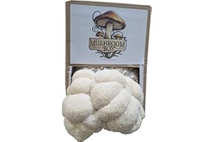 SMURF MUSHROOM Lions Mane Mushroom Grow Kit (Hericium erinaceus) - | Grow Your own |Fresh Mushrooms | Delicious with Soy Sauce | Lions Mane Supplement | Nutrition Geeks |1.8KG
