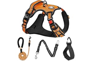 NESTROAD Harnais Veste et Longe Anti Traction pour Chiens, Colliers, Harnais et Laisses pour Chiens, Accessoire Chien (Orange, [M] Le Cou 33~43CM Poitrine 43~64CM)