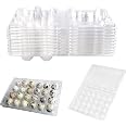 Boîtes à Œufs De Caille Transparentes - Lot De 10 Avec 24 Cases