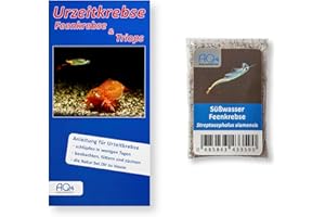 AQ4Aquaristik Siam Süßwasser-Feenkrebse - Streptocephalus siamensis (Zuchtansatz, Urzeitkrebs-Eier) mit Anleitung - Fairy Shrimps, 1.000 Eier