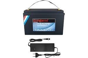 TCBWORTH Batería LifePo4 de 12 V y 100 Ah de Ciclo Profundo con BMS para Solar Caravana Marine Golf Carros