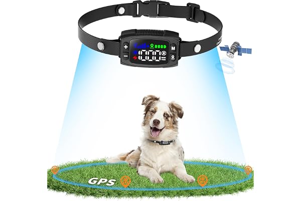 Patpet Collier Anti Fugue sans Fil GPS pour Chien pour Extérieur,IPX7 Étanche Précise Chien Électrique Système Clôture