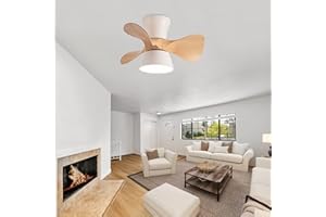 ycwdcz Pequeño Niños Ventilador De Techo con Luz Y Mando A Distancia LED Luz 3 Colores Motor DC Reversible 6 Velocidades con Temporizador App para Dormitorio Salón Lampara Ventilador Techo