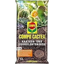Aloe Vera Erde Mit Dnger 5 L | Luftig Lockere Spezialerde Fr Aloe-Vera  Pflanzen | Premium Blumenerde Mit Wurzelaktivator | Perfekt Als Pflanzerde  & Zum Umtopfen : Amazon.de: Garten